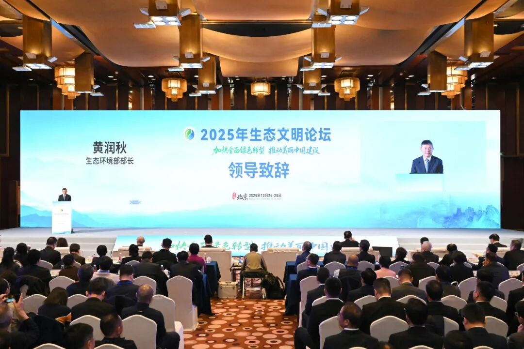 3133cc拉斯维加斯·(中国游)官方网站