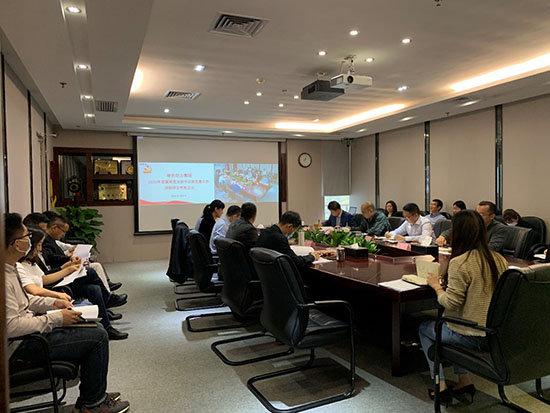 落实全面从严治党  高质量发展迎百年华诞――3133cc拉斯维加斯集团党委召开2020年基层党支部书记抓党建工作述职评议会议